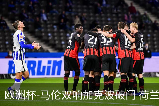 欧洲杯-马伦双响加克波破门 荷兰3-0罗马尼亚